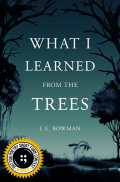 What I Learned from the Trees
