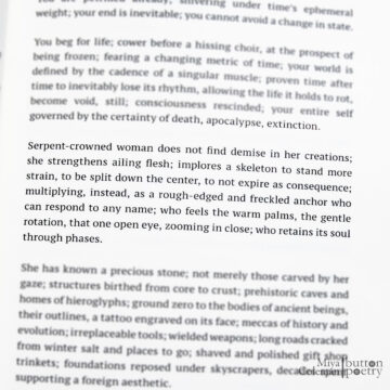 COTT - INT - hi-15 COTT - INT - hi-15