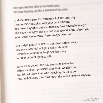 WIDT - INT - hi-17 WIDT - INT - hi-17