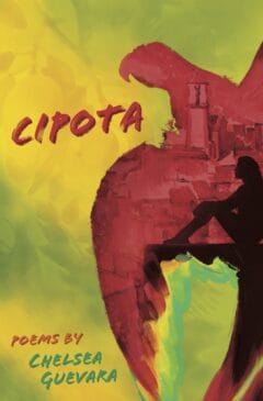 Cipota