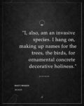 content-library_graphics_pig-1782244806492_1782318792071 content-library_graphics_pig-1782244806492_1782318792071