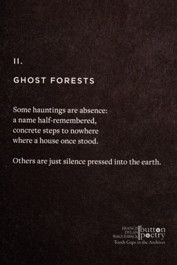 content-library_graphics_tgit-int-ghost-forests_1789049899271 content-library_graphics_tgit-int-ghost-forests_1789049899271
